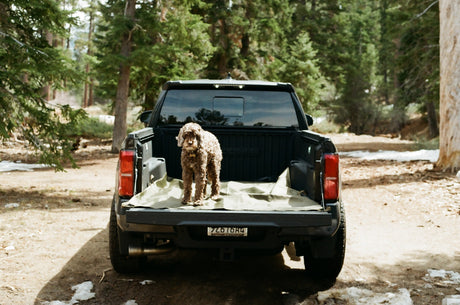 The Last Tarp You’ll Ever Need — The Kitanica Tarp in the Wild