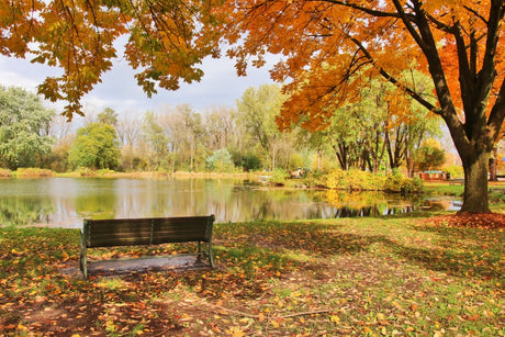 5 Best National Parks to Visit in August to Avoid the Heat